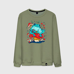 Мужской свитшот Лягушка в мухоморах