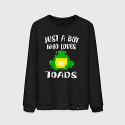 Мужской свитшот Просто мальчик, который любит жаб