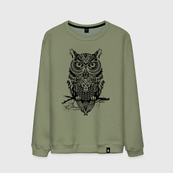 Мужской свитшот Черная сова в узорах