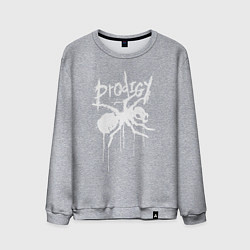 Свитшот хлопковый мужской Draw white logo - Ant, цвет: меланж