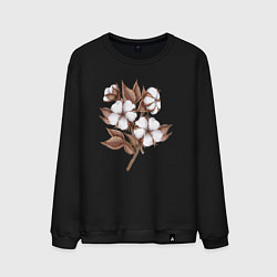 Мужской свитшот Цветы хлопка в букете