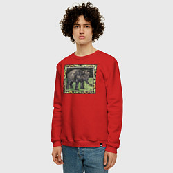 Свитшот хлопковый мужской Olifant Met Fles Слон, цвет: красный — фото 2