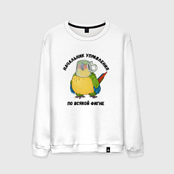 Мужской свитшот Начальник всякой фигни
