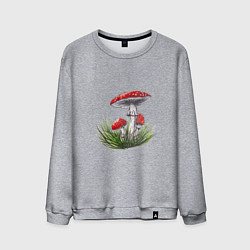 Мужской свитшот Мухоморы в траве