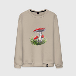 Мужской свитшот Мухоморы в траве