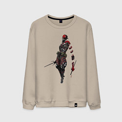 Свитшот хлопковый мужской Monsoon 976-AZQEE, цвет: миндальный