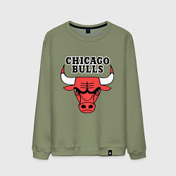 Свитшот хлопковый мужской Chicago Bulls, цвет: авокадо