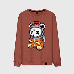 Свитшот хлопковый мужской Космо панда, цвет: кирпичный