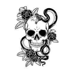 Свитшот хлопковый мужской Чёрная мамба обвивает череп и розы, цвет: белый — фото 2