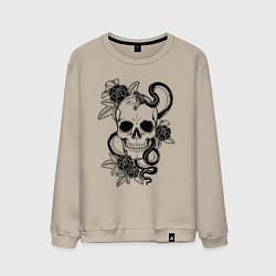 Мужской свитшот Чёрная мамба обвивает череп и розы
