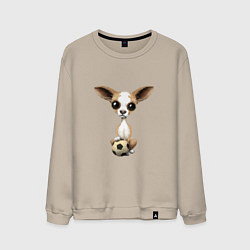Свитшот хлопковый мужской Футбол - Чихуахуа, цвет: миндальный