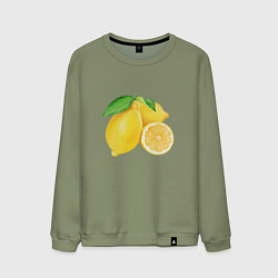 Свитшот хлопковый мужской Сочные лимоны, цвет: авокадо
