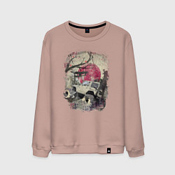 Свитшот хлопковый мужской Бездорожье Азия, цвет: пыльно-розовый