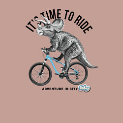 Свитшот хлопковый мужской Путешествие на велосипеде, цвет: пыльно-розовый — фото 2