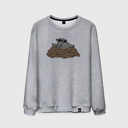 Мужской свитшот Крот в очках мем