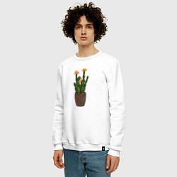 Свитшот хлопковый мужской Цветущий кактус, цвет: белый — фото 2