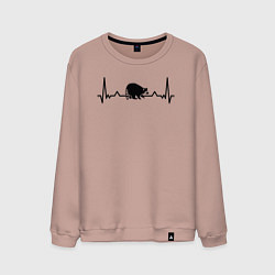 Мужской свитшот Енот в биении сердца