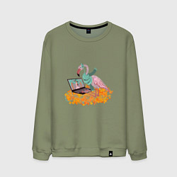 Свитшот хлопковый мужской Осенний фламинго с ноутбуком, мечты о лете, цвет: авокадо