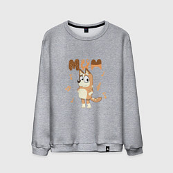 Свитшот хлопковый мужской Doggy Mom, цвет: меланж