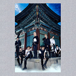 Свитшот хлопковый мужской Stray Kids Thunderous, цвет: меланж — фото 2