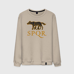 Свитшот хлопковый мужской Капитолийская волчица SPQR, цвет: миндальный