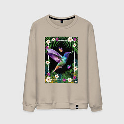Мужской свитшот Колибри в тропиках