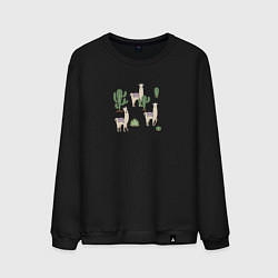 Мужской свитшот Три ламы среди кактусов гуляют