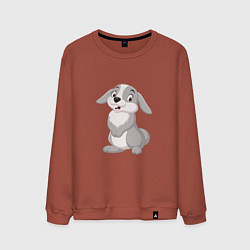 Свитшот хлопковый мужской Милашка Кролик, цвет: кирпичный