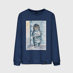 Мужской свитшот Акварельный рисунок плохой кот