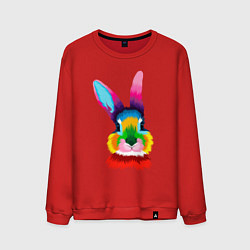 Мужской свитшот Радужный кролик