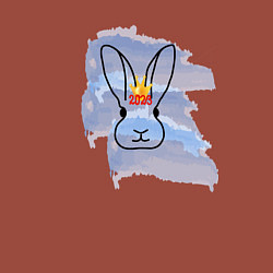Свитшот хлопковый мужской Водяной кролик- символ Нового 2023 года, цвет: кирпичный — фото 2