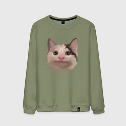 Мужской свитшот Polite cat meme