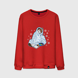Свитшот хлопковый мужской Зимний кот в одеялке с книгой, цвет: красный