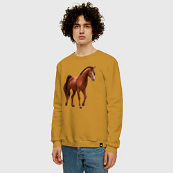 Свитшот хлопковый мужской Тракененская лошадь, цвет: горчичный — фото 2