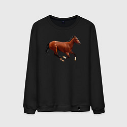 Свитшот хлопковый мужской Чистокровная верховая лошадь, цвет: черный