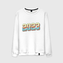 Мужской свитшот 2023