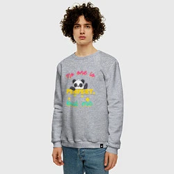 Свитшот хлопковый мужской Панда - совершенство, цвет: меланж — фото 2