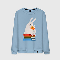 Свитшот хлопковый мужской Читающий кролик на книгах, цвет: мягкое небо