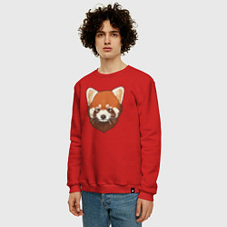 Свитшот хлопковый мужской Голова милой красной панды, цвет: красный — фото 2