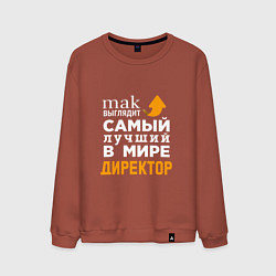 Свитшот хлопковый мужской Лучший в мире директор, цвет: кирпичный