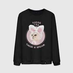 Мужской свитшот Такой и символ года