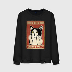 Мужской свитшот Я делаю то, что хочу