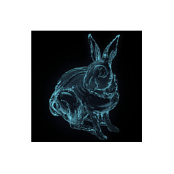 Свитшот хлопковый мужской Водяной кролик, цвет: белый — фото 2