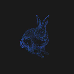 Свитшот хлопковый мужской Водяной кролик без фона, цвет: черный — фото 2