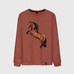 Мужской свитшот Лузитано