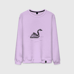 Свитшот хлопковый мужской Черный лебедь, цвет: лаванда