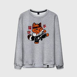 Мужской свитшот Кот каратист art