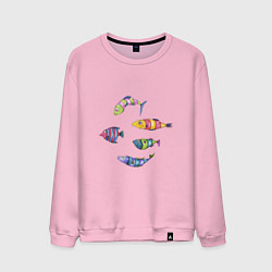 Свитшот хлопковый мужской Пять полосатых рыбок, цвет: светло-розовый