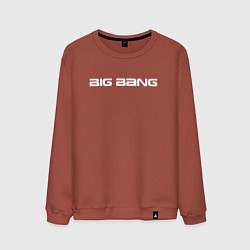 Свитшот хлопковый мужской Big bang белый логотип, цвет: кирпичный