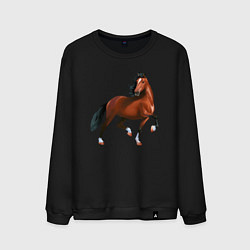 Мужской свитшот Хакнэ